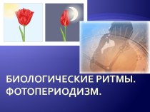 Биологические ритмы. Фотопериодизм