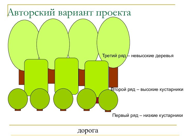 Авторский вариант проектадорогаПервый ряд – низкие кустарникиТретий ряд – невысокие деревьяВторой ряд – высокие кустарники