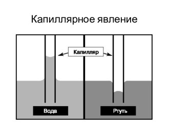 Капиллярное явление