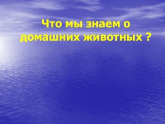 Что мы знаем о домашних животных?