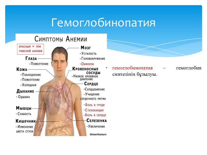 Гемоглобинопатиягемоглобинопатия – гемоглобин синтезінің бұзылуы.