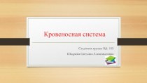 Кровеносная система