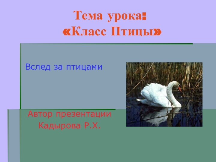 Тема урока:  «Класс Птицы»Вслед за птицамиАвтор презентацииКадырова Р.Х.