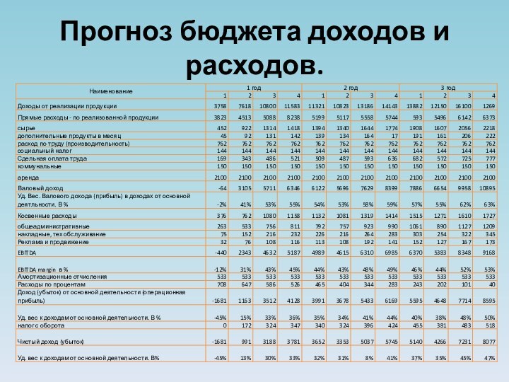 Прогноз бюджета доходов и расходов.