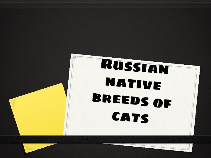 Russian native breeds of cats