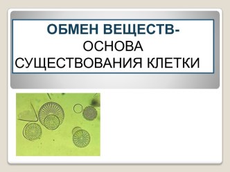 Обмен веществ- основа существования клетки