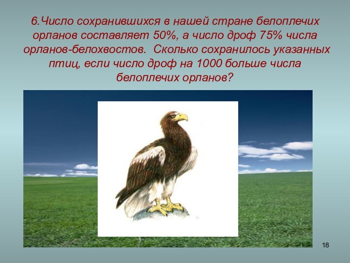 6.Число сохранившихся в нашей стране белоплечих орланов составляет 50%, а число дроф
