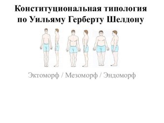 Конституциональная типология по Уильяму Герберту Шелдону