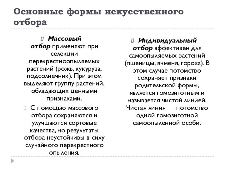 Основные формы искусственного отбораМассовый отбор применяют при селекции перекрестноопыляемых растений (рожь, кукуруза, подсолнечник).