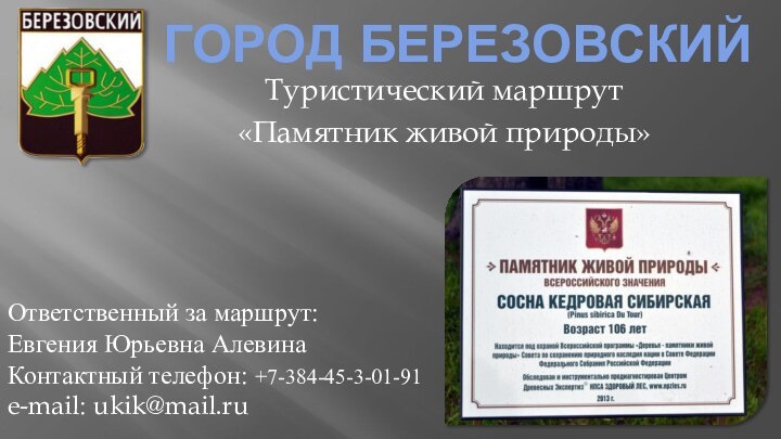 Город БерезовскийТуристический маршрут«Памятник живой природы»Ответственный за маршрут:Евгения Юрьевна АлевинаКонтактный телефон: +7-384-45-3-01-91e-mail: ukik@mail.ru