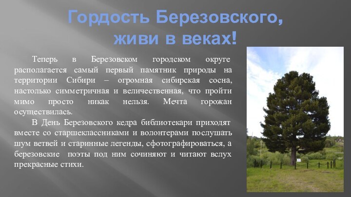 Гордость Березовского,  живи в веках! 	Теперь в Березовском городском округе располагается