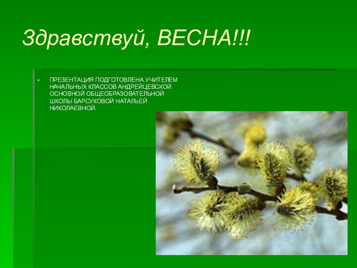 Здравствуй, ВЕСНА!!!ПРЕЗЕНТАЦИЯ ПОДГОТОВЛЕНА УЧИТЕЛЕМ НАЧАЛЬНЫХ КЛАССОВ АНДРЕЙЦЕВСКОЙ ОСНОВНОЙ ОБЩЕОБРАЗОВАТЕЛЬНОЙ ШКОЛЫ БАРСУКОВОЙ НАТАЛЬЕЙ НИКОЛАЕВНОЙ.