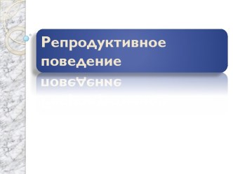 Репродуктивное поведение