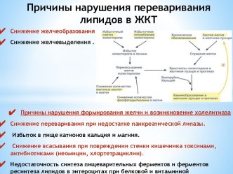 Причины нарушения переваривания липидов в ЖКТ