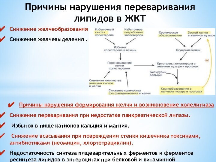 Снижение желчеобразования .Снижение желчевыделения .Причины нарушения формирования желчи и возникновение холелитиазаСнижение переваривания