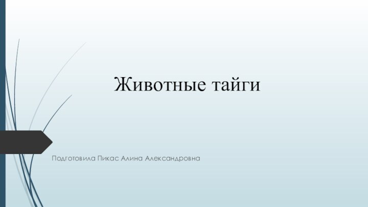 Животные тайгиПодготовила Пикас Алина Александровна