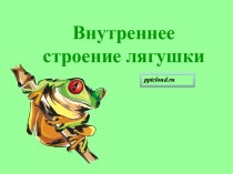 Внутреннее строение лягушки