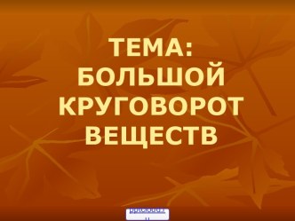 Большой круговорот веществ