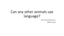 Can any other animals use language?
