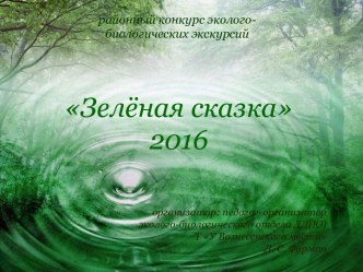 Зелёная сказка2016