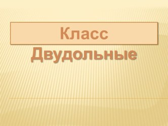 Класс Двудольные