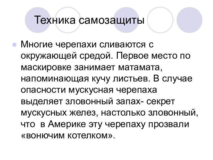 Техника самозащитыМногие черепахи сливаются с окружающей средой. Первое место по маскировке занимает