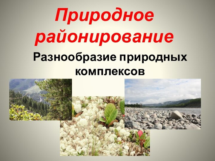 Природное районированиеРазнообразие природных комплексов