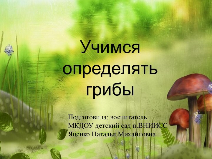 Учимся определять грибыПодготовила: воспитательМКДОУ детский сад п.ВНИИССЯценко Наталья Михайловна