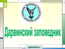 Презентация Загрязнение смазочными материалами и присадками окружающей среды