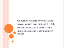 Международные организации, работающие под эгидой ООН, занимающиеся вопросами в области охраны окружающей среды