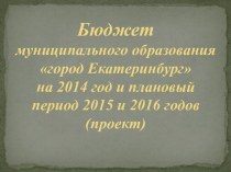 Бюджет муниципального образования город Екатеринбург на 2014 год и плановый период 2015 и 2016 годов (проект)