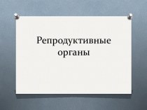 Репродуктивные органы