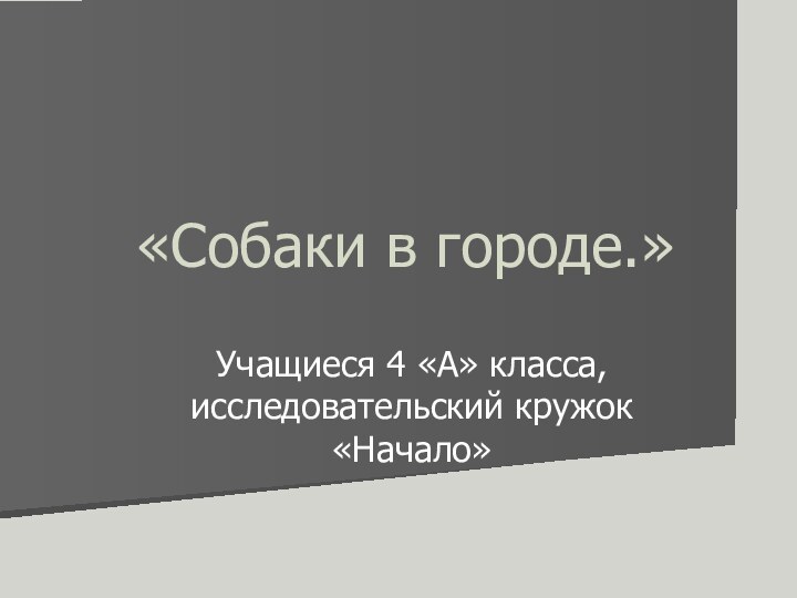 «Собаки в городе.»Учащиеся 4 «А» класса, исследовательский кружок «Начало»