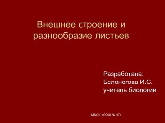 Внешнее строение и разнообразие листьев