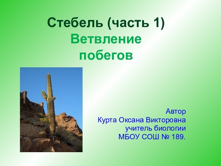 АвторКурта Оксана Викторовнаучитель биологии МБОУ СОШ № 189.Стебель (часть 1)Ветвление побегов