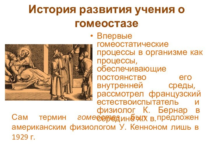 История развития учения о гомеостазе Впервые гомеостатические процессы в организме как процессы,