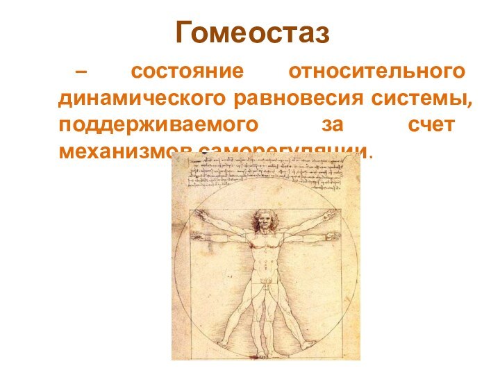 Гомеостаз – состояние относительного динамического равновесия системы, поддерживаемого за счет механизмов саморегуляции.