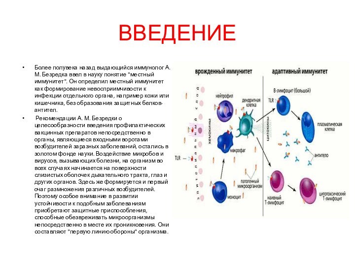 ВВЕДЕНИЕБолее полувека назад выдающийся иммунолог А. М. Безредка ввел в науку понятие