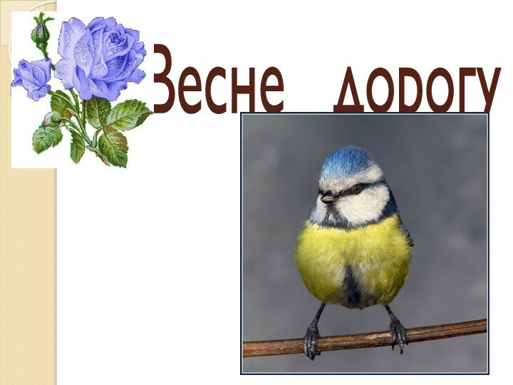 Весне  дорогу