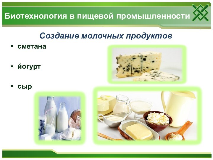 Создание молочных продуктовсметанайогурт сырБиотехнология в пищевой промышленности