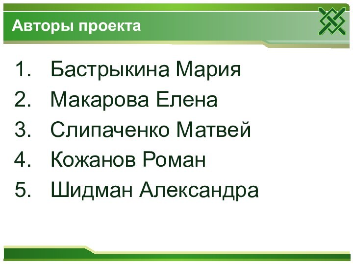 Бастрыкина МарияМакарова ЕленаСлипаченко МатвейКожанов РоманШидман АлександраАвторы проекта