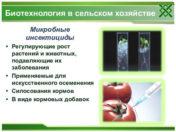 Микробные инсектицидыРегулирующие рост растений и животных, подавляющие их заболеванияПрименяемые для искусственного осемененияСилосования