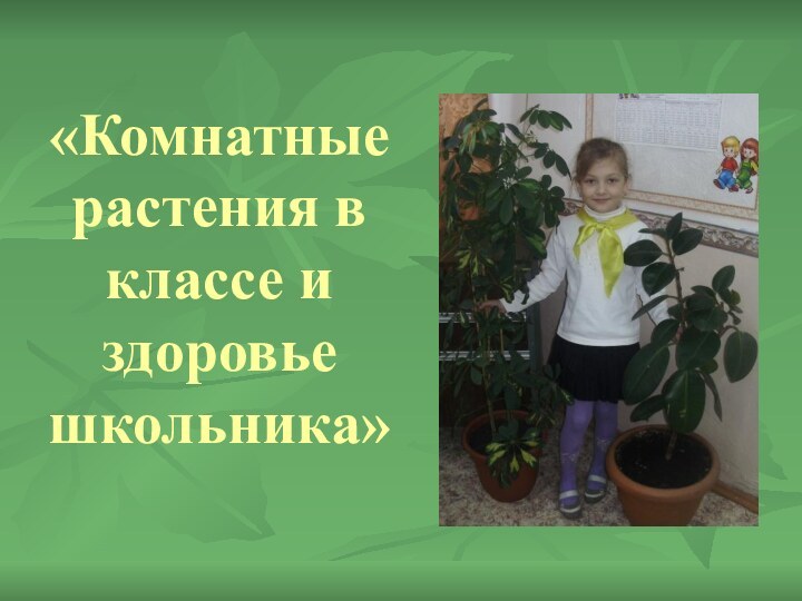 «Комнатные растения в классе и здоровье школьника»