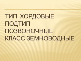 Класс земноводные и их особенности