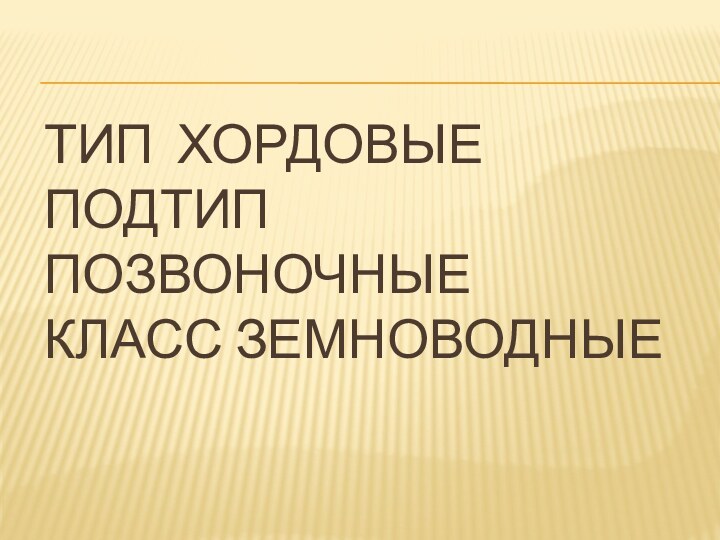 ТИП ХОРДОВЫЕ ПОДТИП ПОЗВОНОЧНЫЕ КЛАСС ЗЕМНОВОДНЫЕ