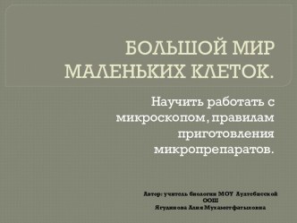 Большой мир маленьких клеток