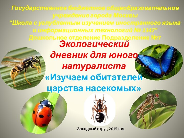 Государственное бюджетное общеобразовательное учреждение города Москвы  