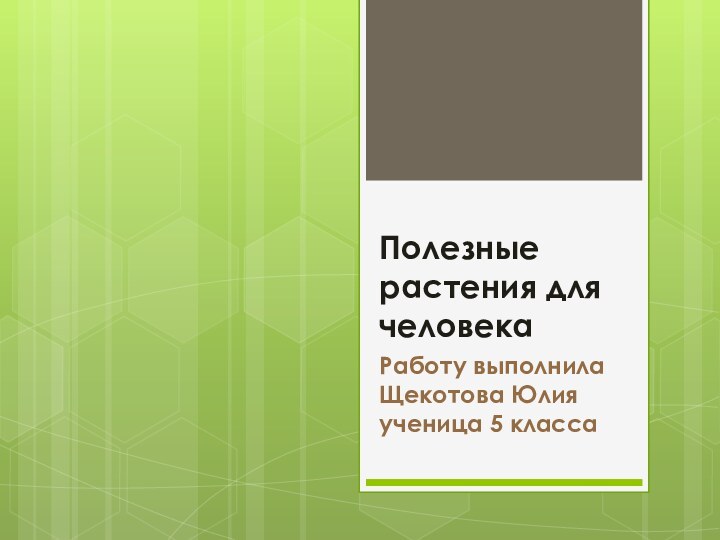 Полезные растения для человекаРаботу выполнила Щекотова Юлия ученица 5 класса