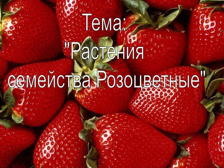 Тема: