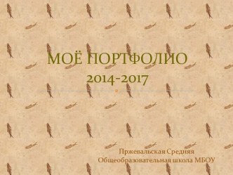 МОЁ ПОРТФОЛИО2014-2017